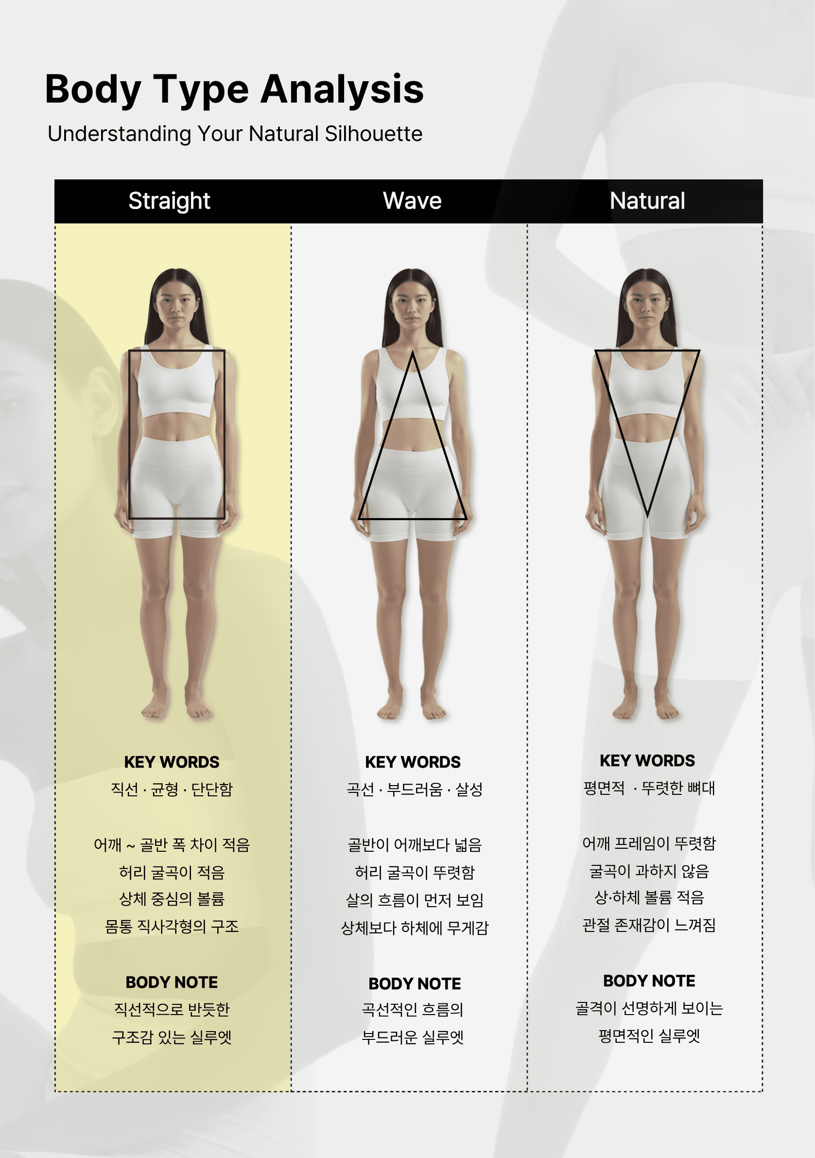 세 가지 체형 유형 비교
